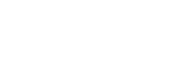 3VSN